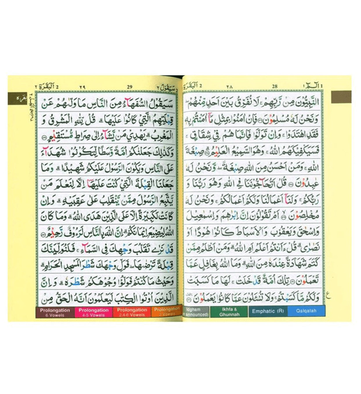 Coran Tajwid avec règles de codage couleur – Écriture pakistanaise-indienne-persane (13x17)