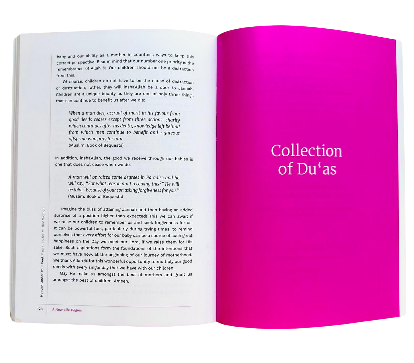 الجنة تحت قدميك من دار نشر تا ها