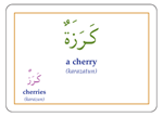 Gateway to Arabic Flashcards – Set Three | Arabic Verb Conjugation & Vocabulary Learning Cards 6