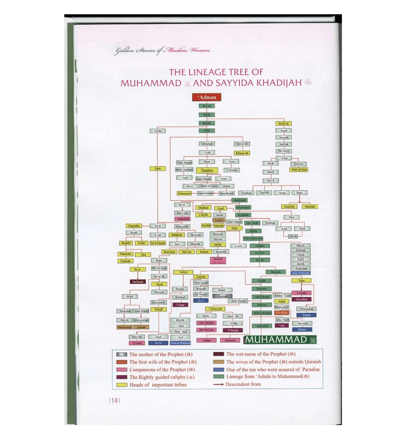 القصص الذهبية للمرأة المسلمة| عبد المالك مجاهد