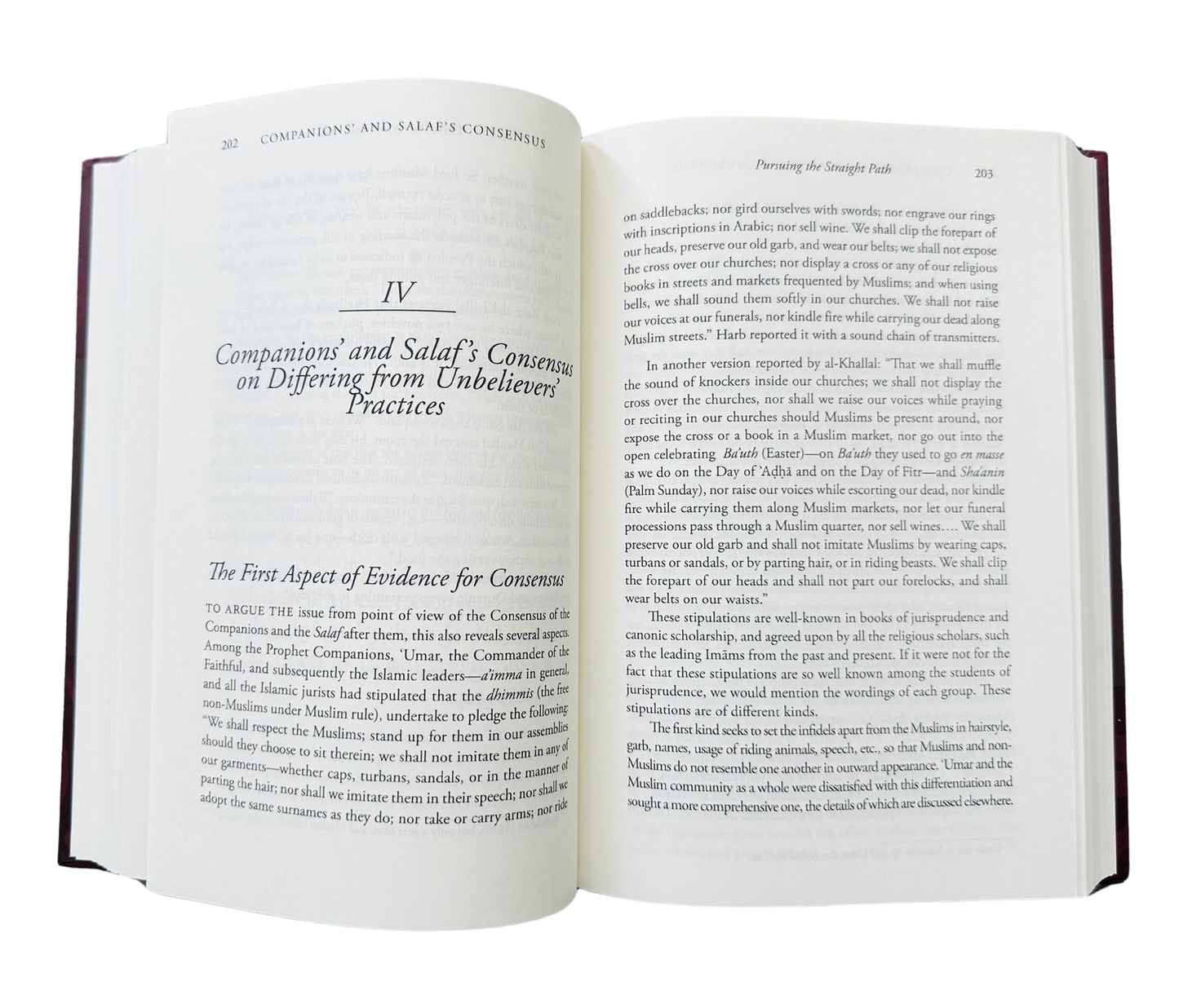 Pursuing the Straight Path | Ibn Taymiyyah