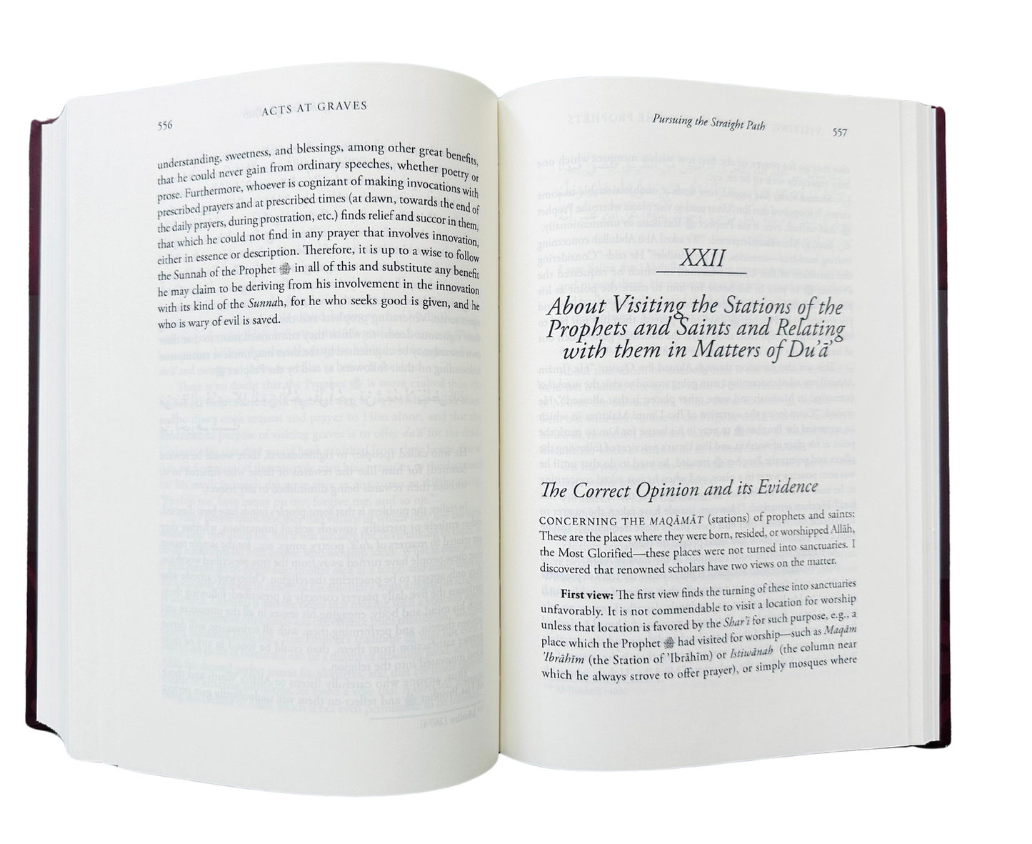 Pursuing the Straight Path | Ibn Taymiyyah