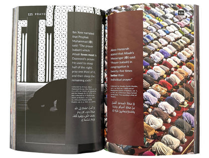 The Best in Islam By Dr. Abu Ameenah Bilal Philips