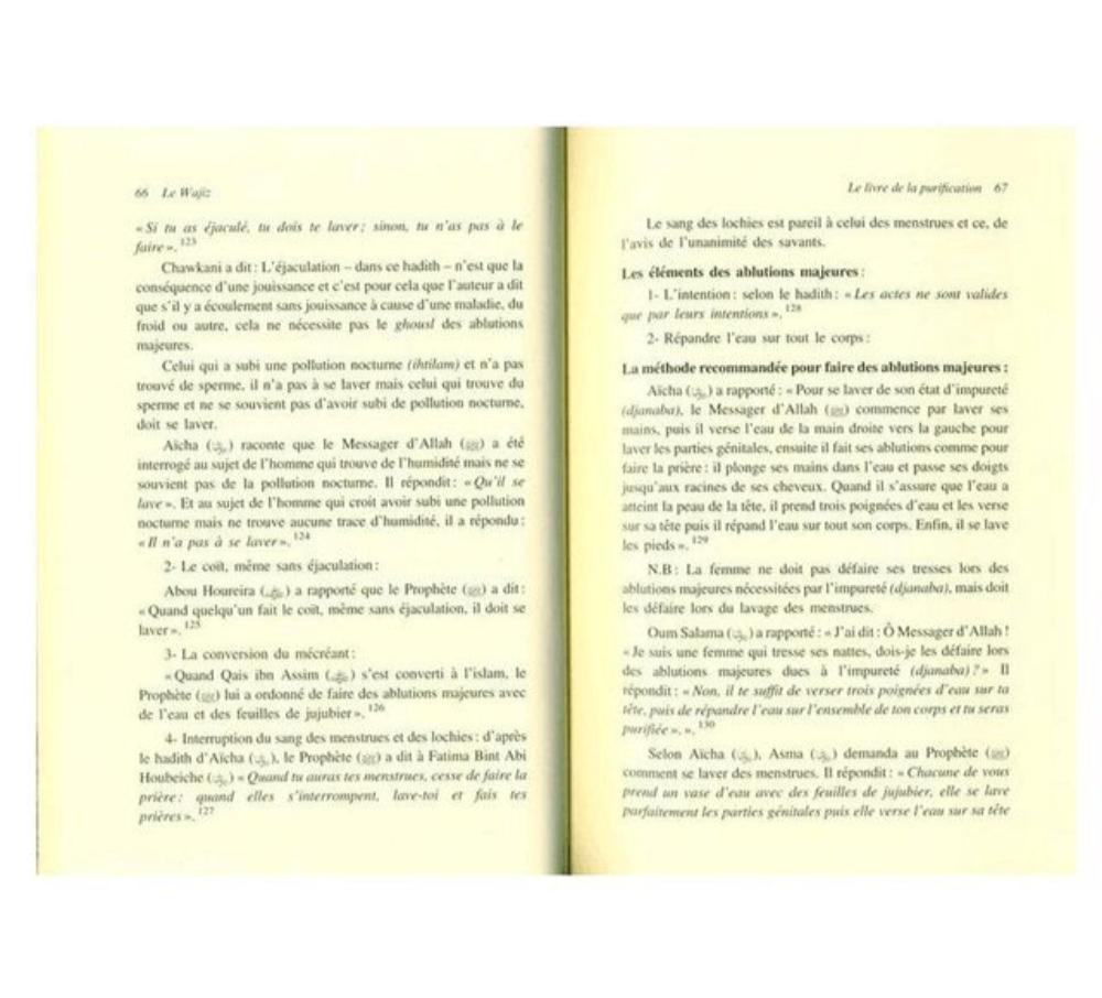 The_summary_of_jurisprudence