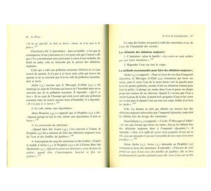 The_summary_of_jurisprudence