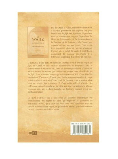 French :The summary of jurisprudence (Le Wajiz ou le Sommaire de la Jurisprudence)