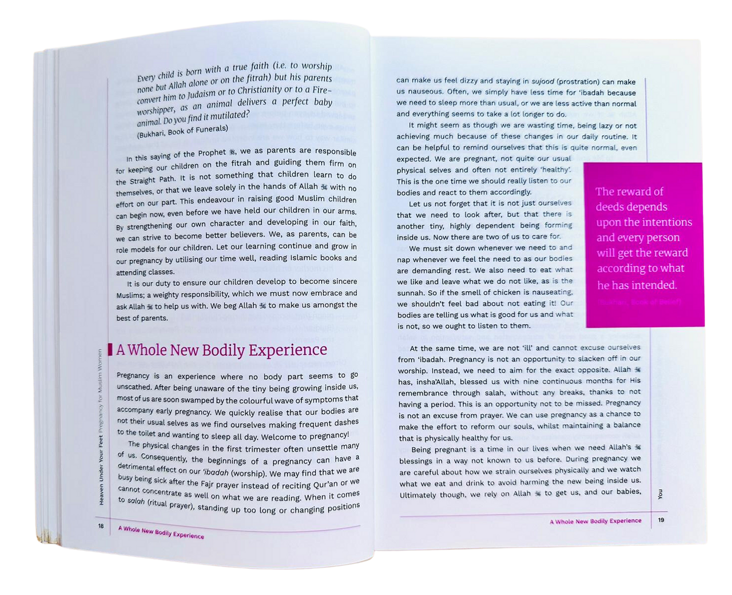 الجنة تحت قدميك من دار نشر تا ها