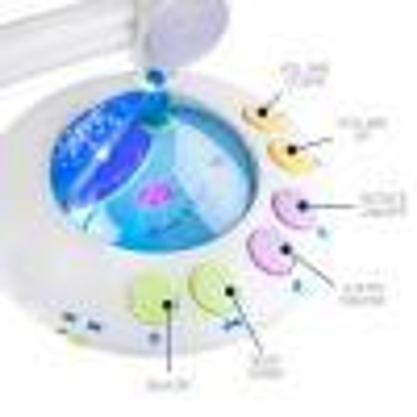 سرير القرآن الكريم المتنقل على شكل قمر ونجوم - من إنتاج ديسي دول