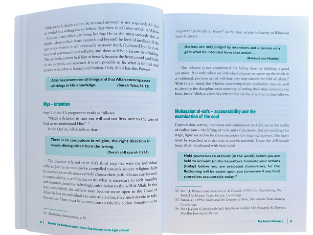 Hope for the Muslim Alcoholic By Yunus P