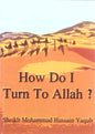 How Do I Turn To ALLAH? by Sheikh Mohammad Hussain Yaqub