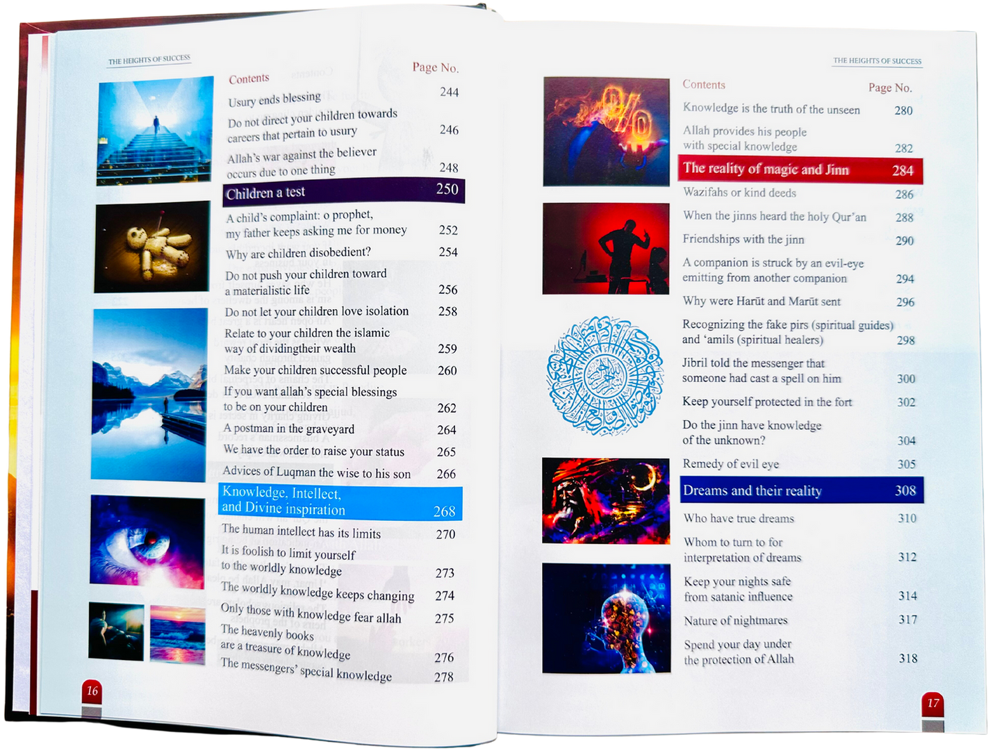 The Heights of Success by Syed Taj Ahmed bysyed Taj Ahmed