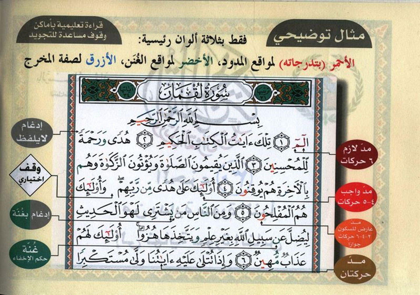 مصحف التجويد في 30 جزءًا - غلاف ورقي بغلاف جلدي