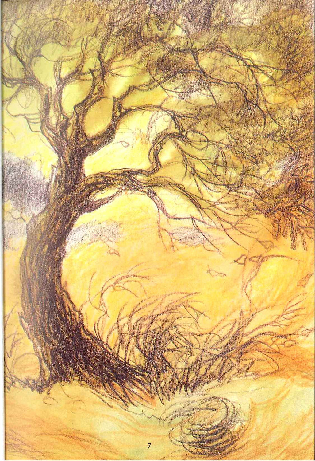 حب الوالدين وقصص إسلامية أخرى – اللطف بقلم إشرات ج. رومي