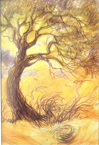 Parents Love by Darussalam | Islamic Book on Kindness to Parents