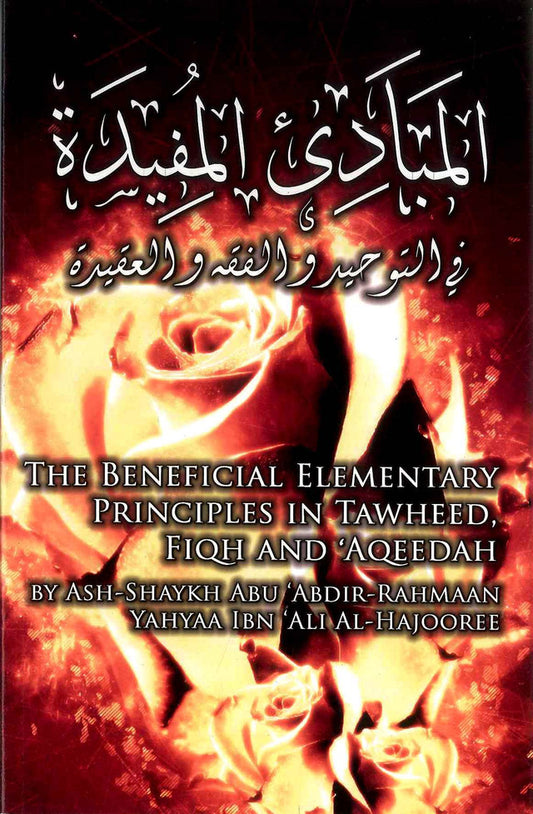 Beneficial Elementary Principles in Tawheed, Fiqh & Aqeedah – Islamic Fundamentals Guide