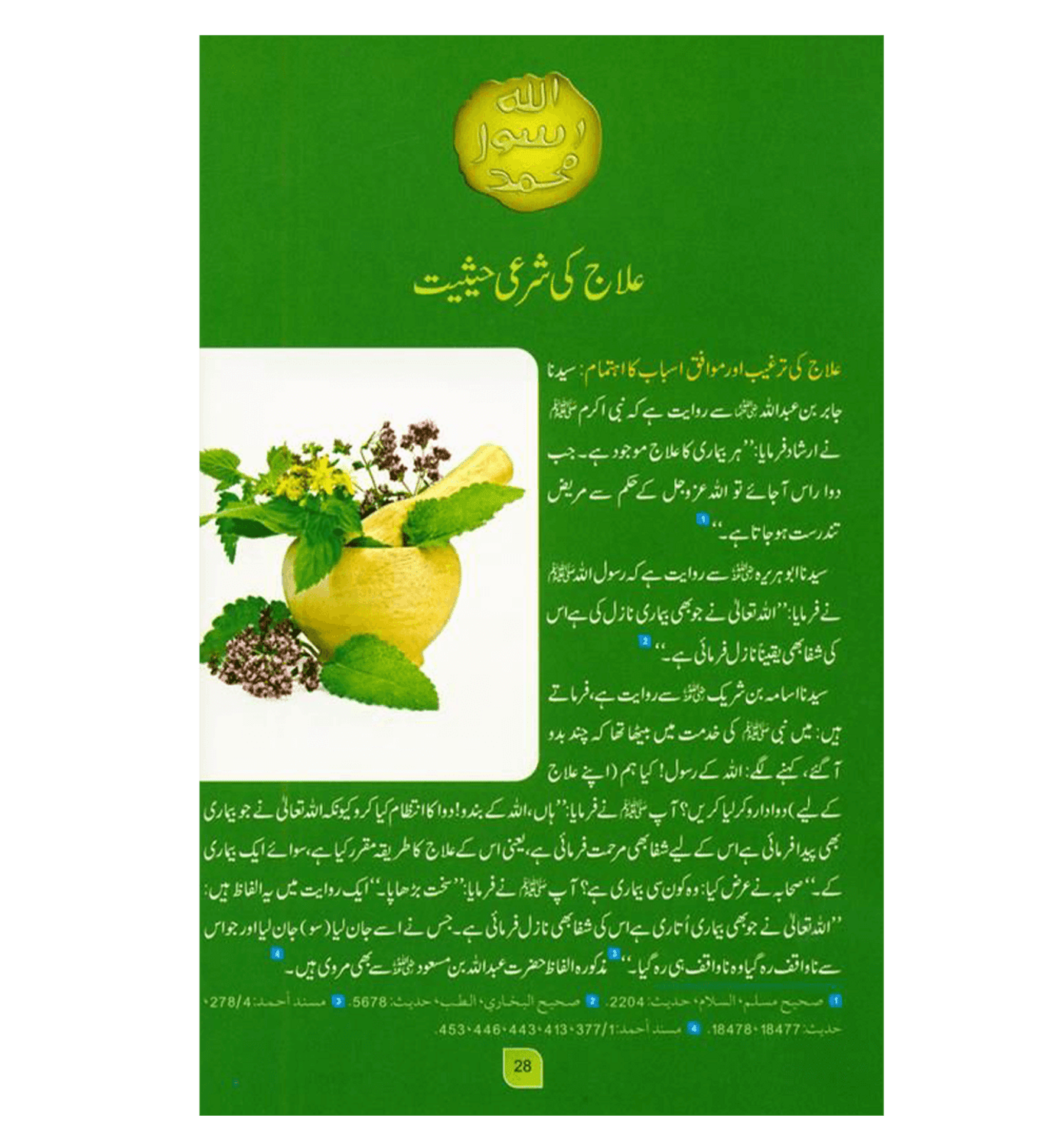 Médecine du prophète en (langue ourdou) طب النبي par l'imam Ibn Qayyim Al-Jawziyyah