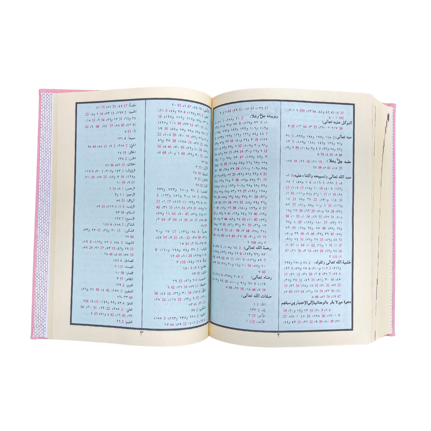 Tajweed Quran Deluxe in Elegant Leather Box - Silver and Pink Quraan - Easyquran for Girls Boys