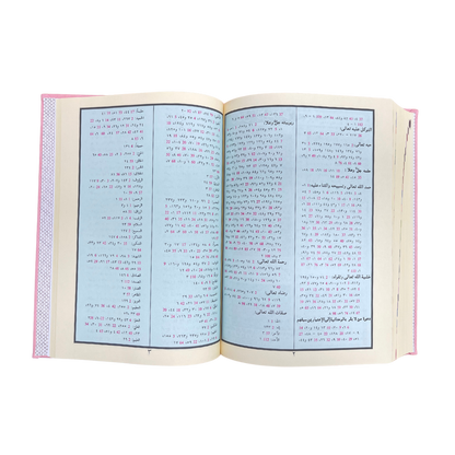 Tajweed Quran Deluxe in Elegant Leather Box - Silver and Pink Quraan - Easyquran for Girls Boys