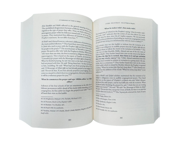 شرح عمدة الأحكام (على المصادر القديمة والمعاصرة) مجلدان 